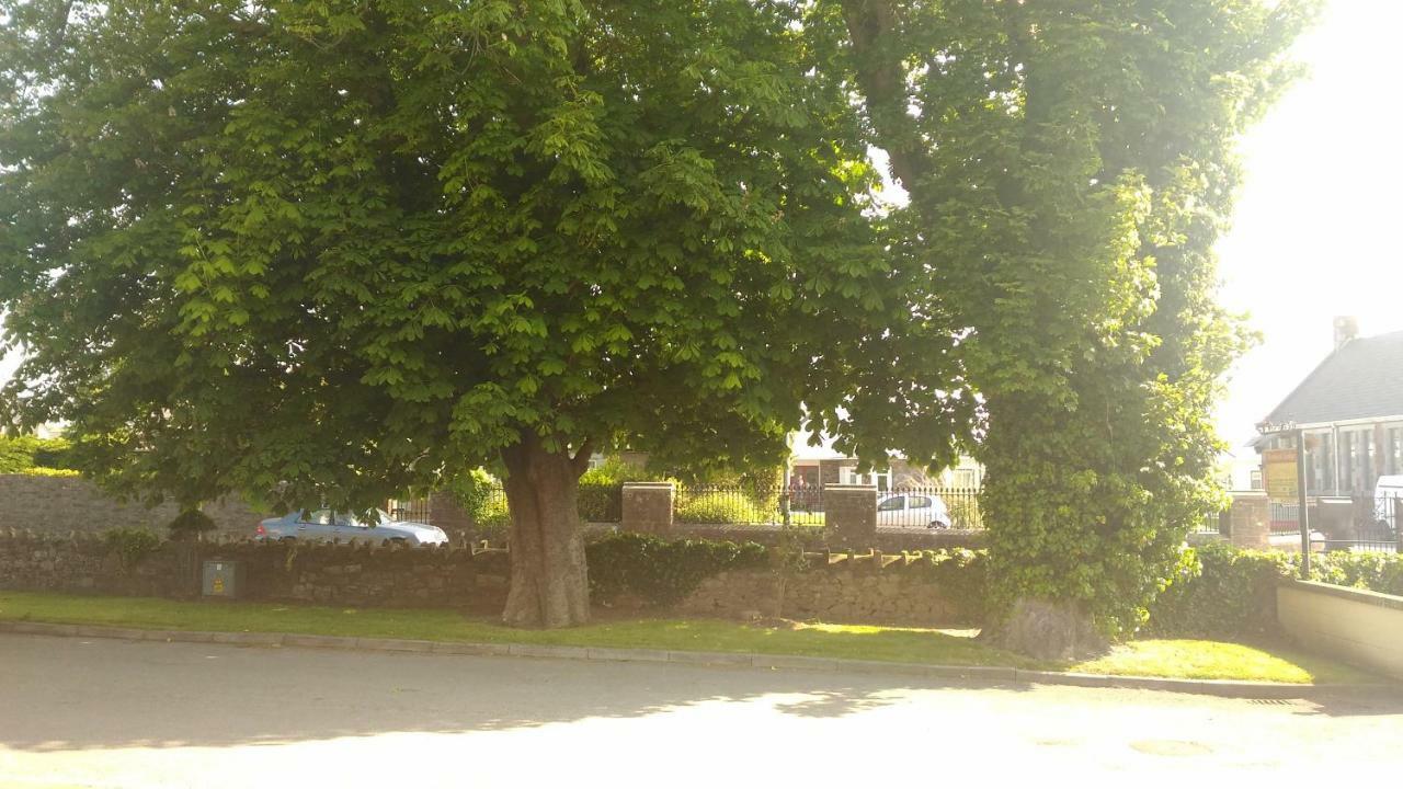 Conn Oriel B&B Tralee Exteriör bild